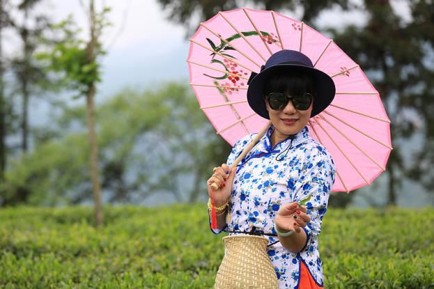 紫阳明前富硒茶2022(紫阳富硒明前茶价格)-硒宝网