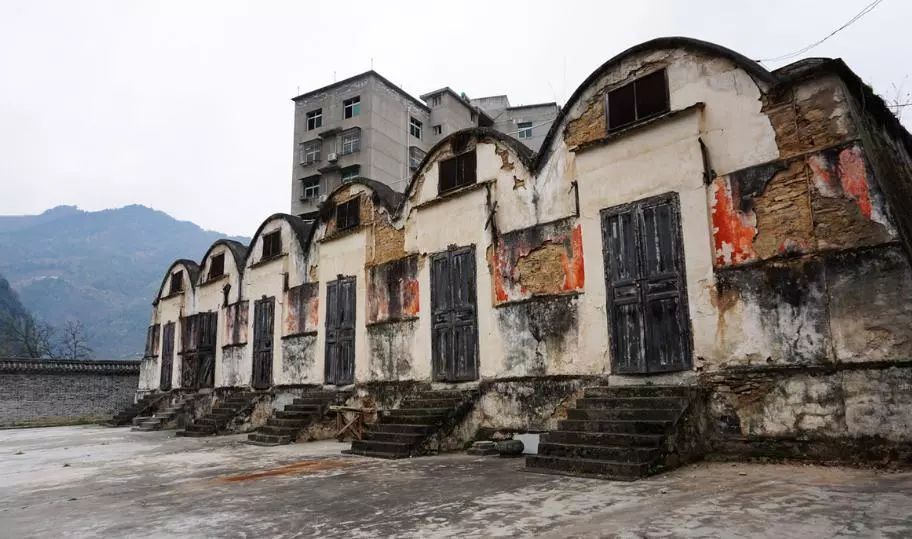 紫阳明前富硒茶2022(紫阳富硒明前茶价格)-硒宝网