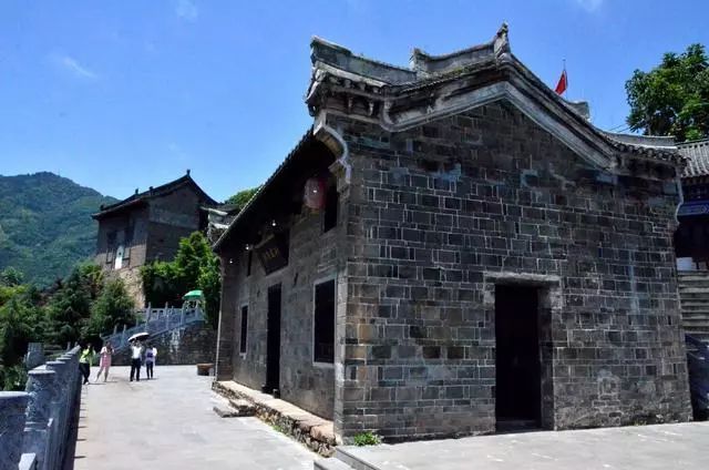 紫阳明前富硒茶2022(紫阳富硒明前茶价格)-硒宝网