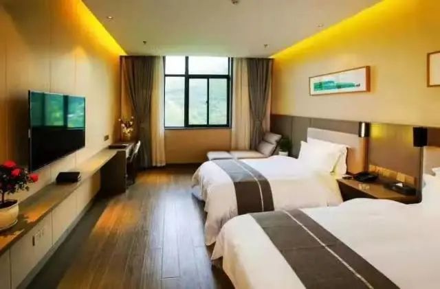 紫阳明前富硒茶2022(紫阳富硒明前茶价格)-硒宝网