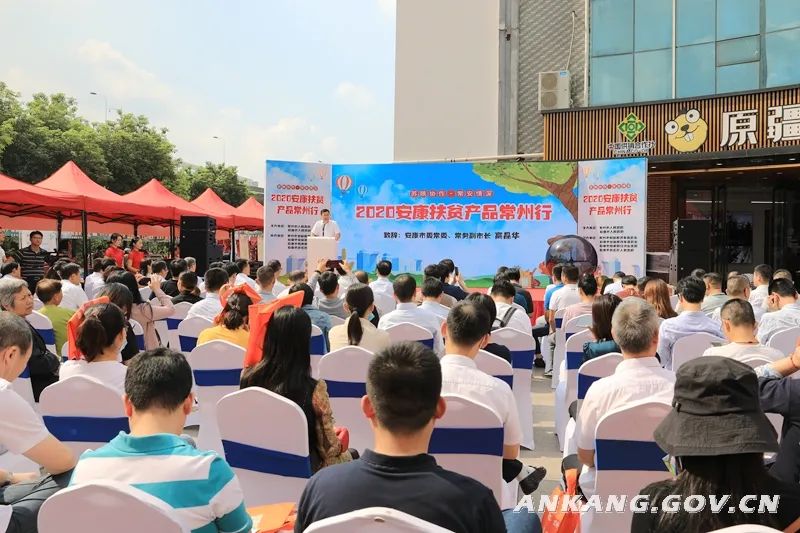 紫阳富硒茶采摘现场视频（紫阳茶富硒饮品价格）-硒宝网