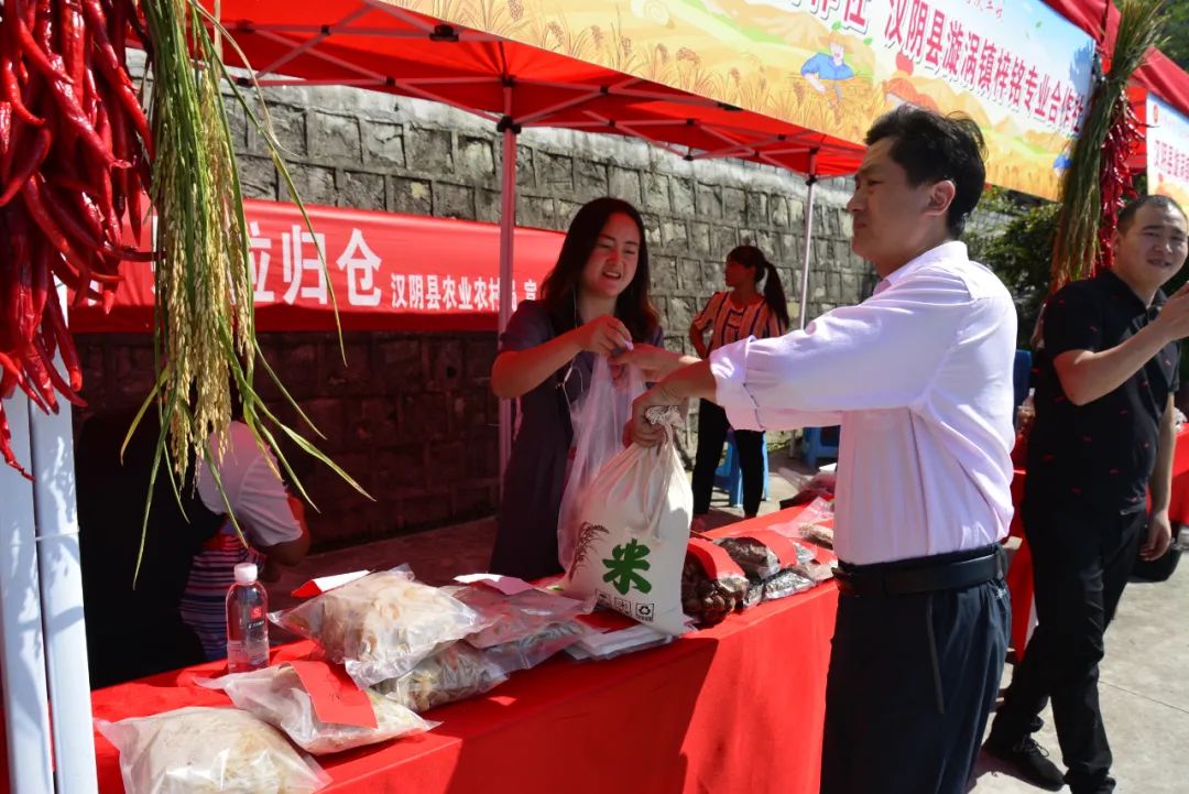 紫阳富硒茶采摘现场视频（紫阳茶富硒饮品价格）-硒宝网