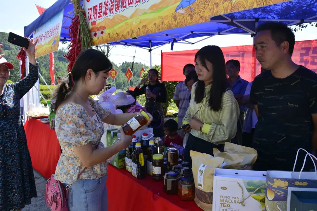 紫阳富硒茶采摘现场视频（紫阳茶富硒饮品价格）-硒宝网