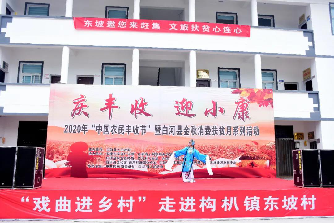 紫阳富硒茶采摘现场视频（紫阳茶富硒饮品价格）-硒宝网