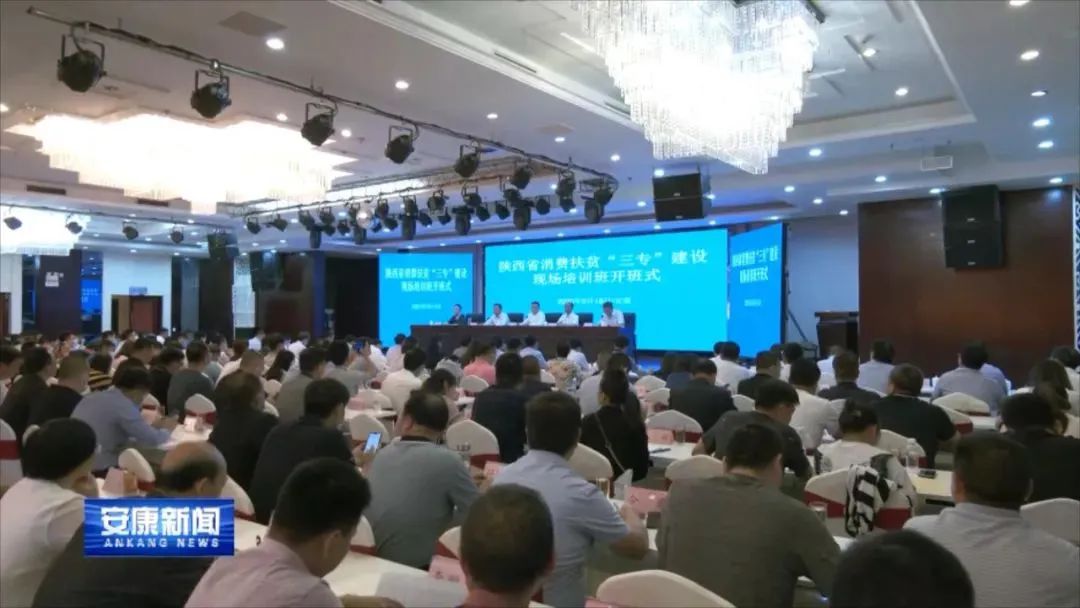 紫阳富硒茶采摘现场视频（紫阳茶富硒饮品价格）-硒宝网