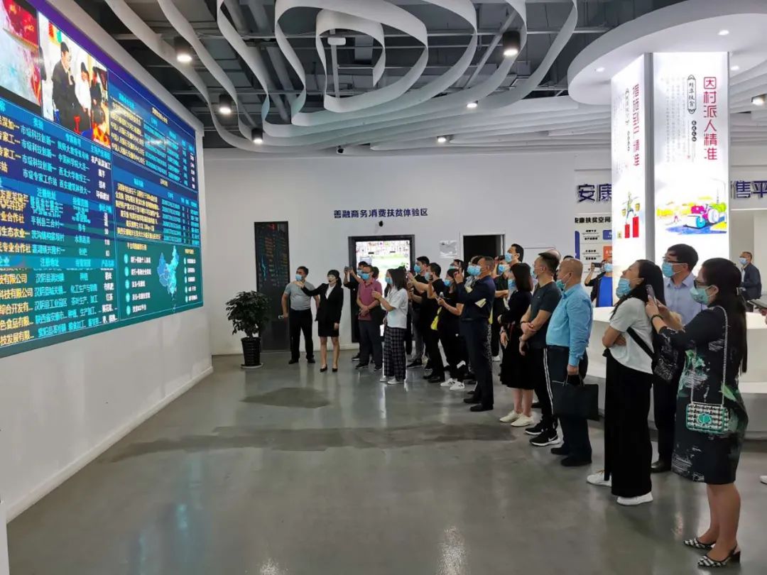 紫阳富硒茶采摘现场视频（紫阳茶富硒饮品价格）-硒宝网