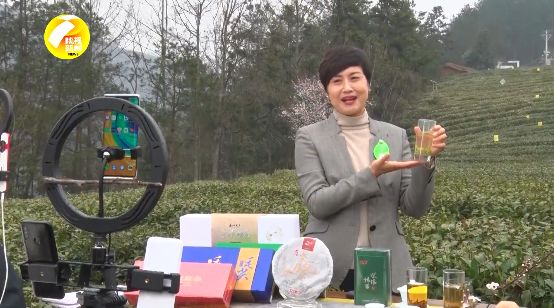 紫阳富硒茶采摘现场视频（紫阳富硒茶山）-硒宝网