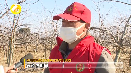 紫阳富硒茶采摘现场视频（紫阳富硒茶山）-硒宝网