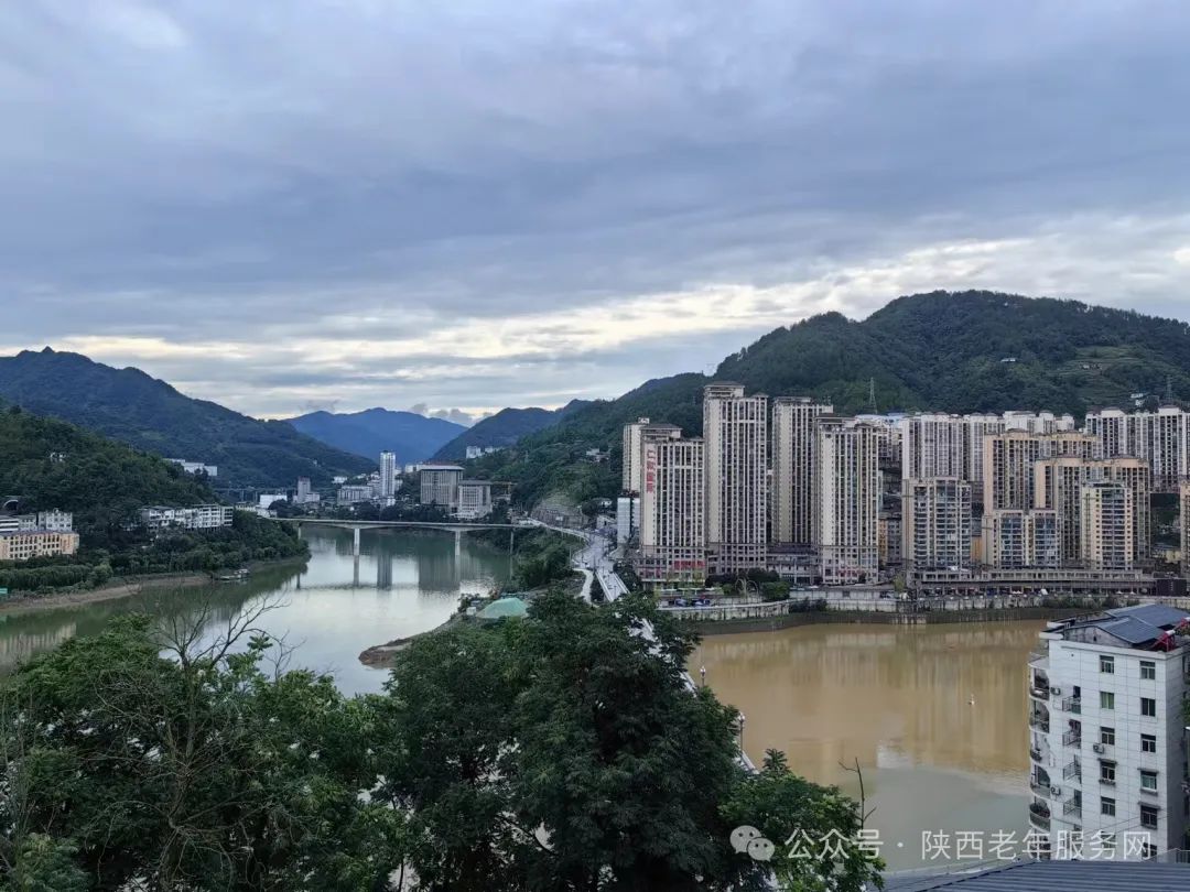 紫阳富硒茶怎么购买便宜（紫阳富硒茶多少钱一斤）-硒宝网