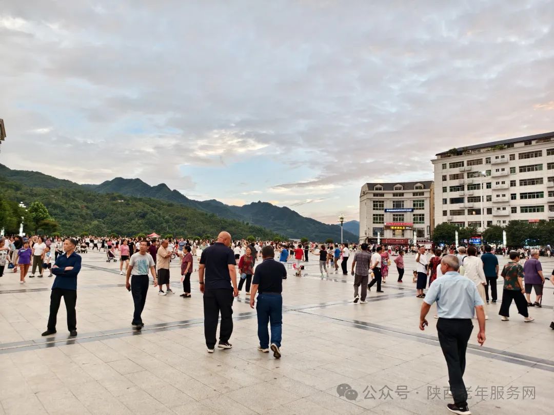紫阳富硒茶怎么购买便宜（紫阳富硒茶多少钱一斤）-硒宝网