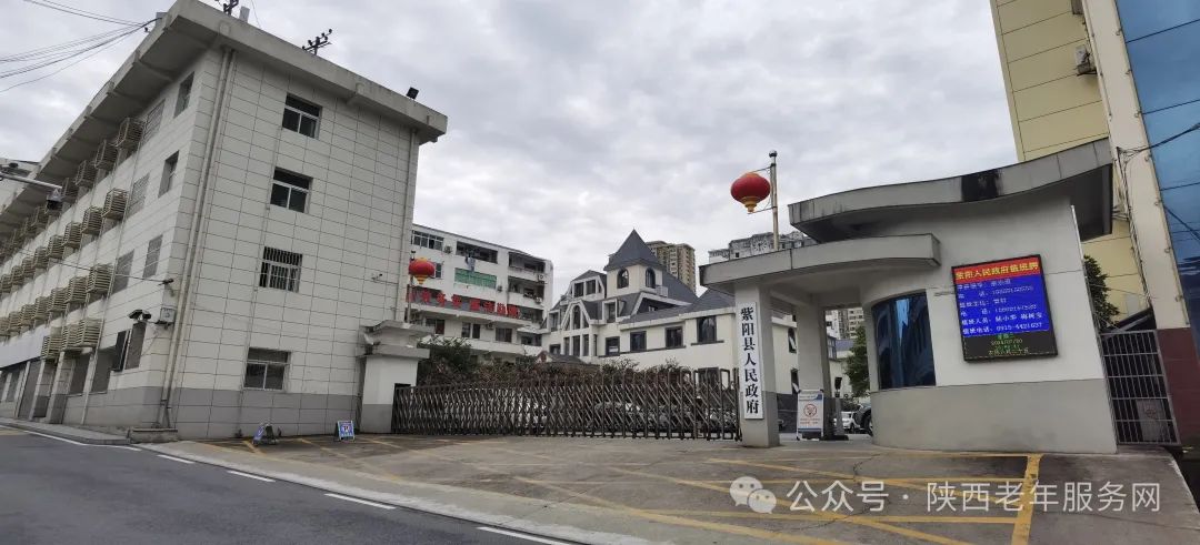 紫阳富硒茶怎么购买便宜（紫阳富硒茶多少钱一斤）-硒宝网