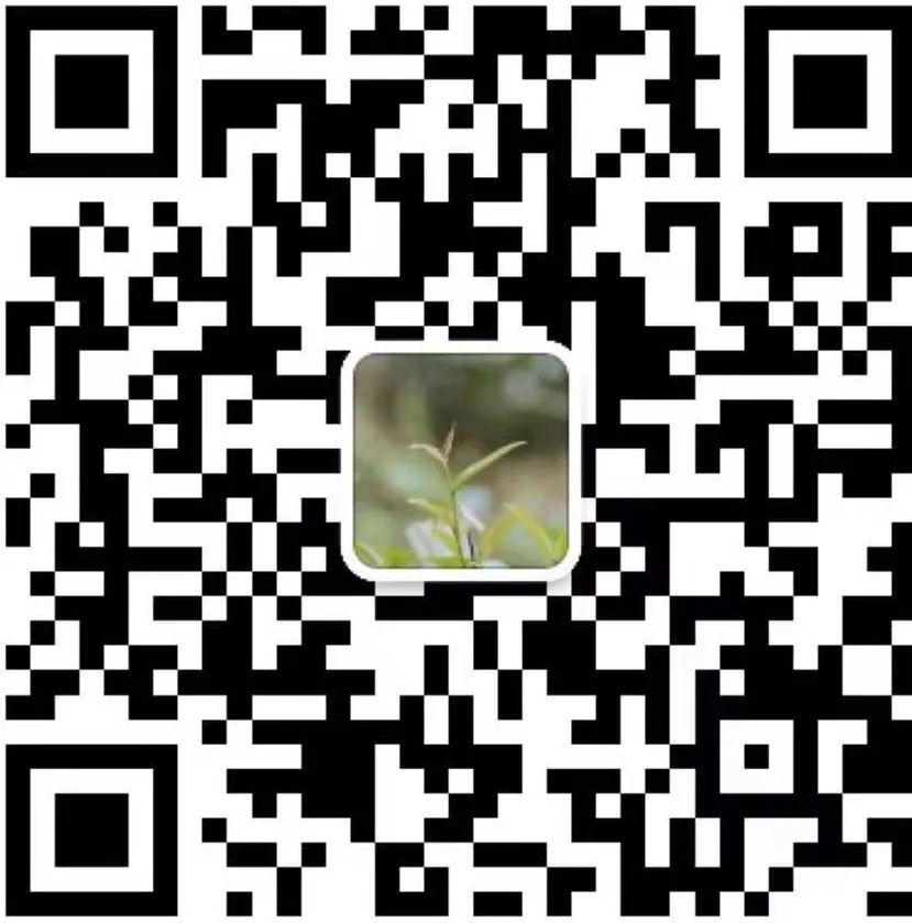 武汉恩施富硒茶怎么收费(湖北恩施富硒茶叶)-硒宝网