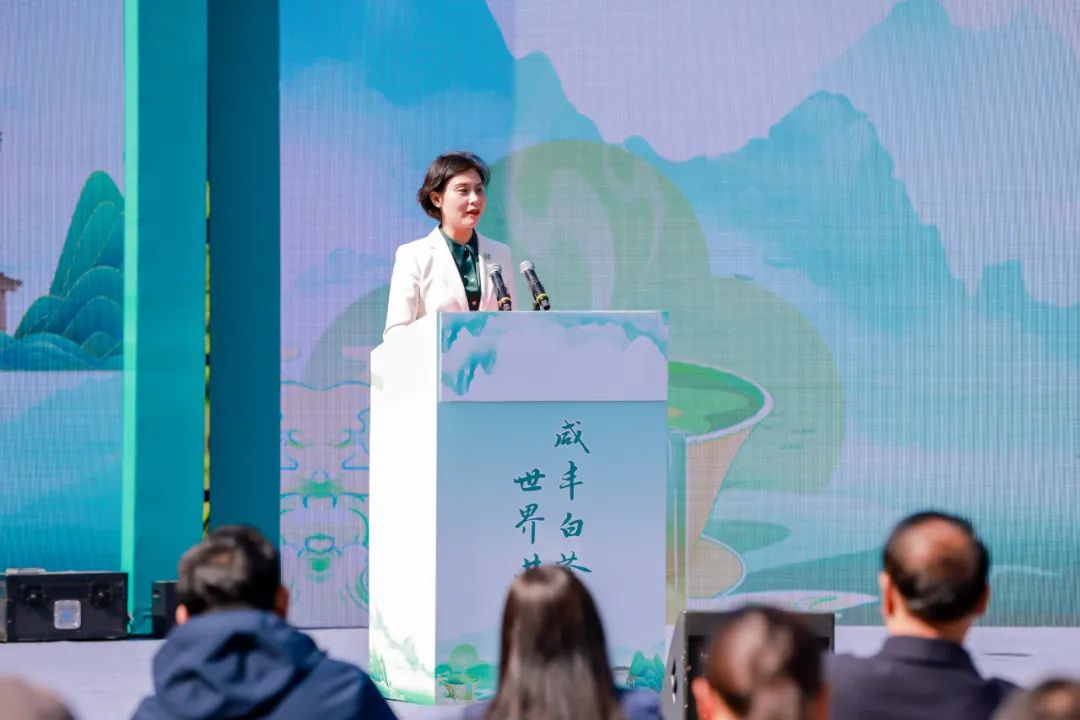 江西富硒茶恩施玉露加工(恩施玉露茶和富硒茶一样吗)-硒宝网