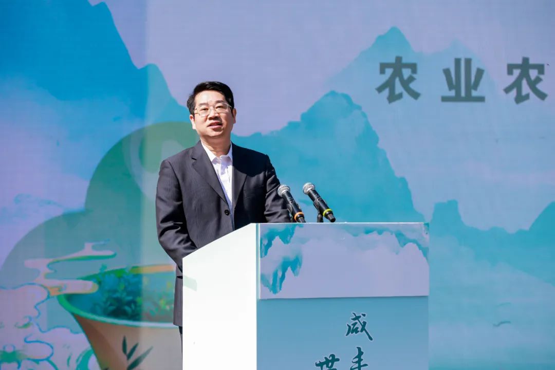 江西富硒茶恩施玉露加工(恩施玉露茶和富硒茶一样吗)-硒宝网