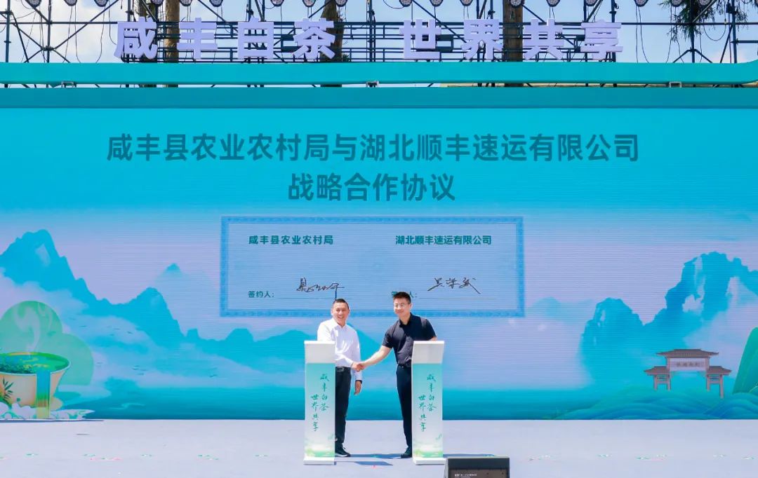 江西富硒茶恩施玉露加工(恩施玉露茶和富硒茶一样吗)-硒宝网