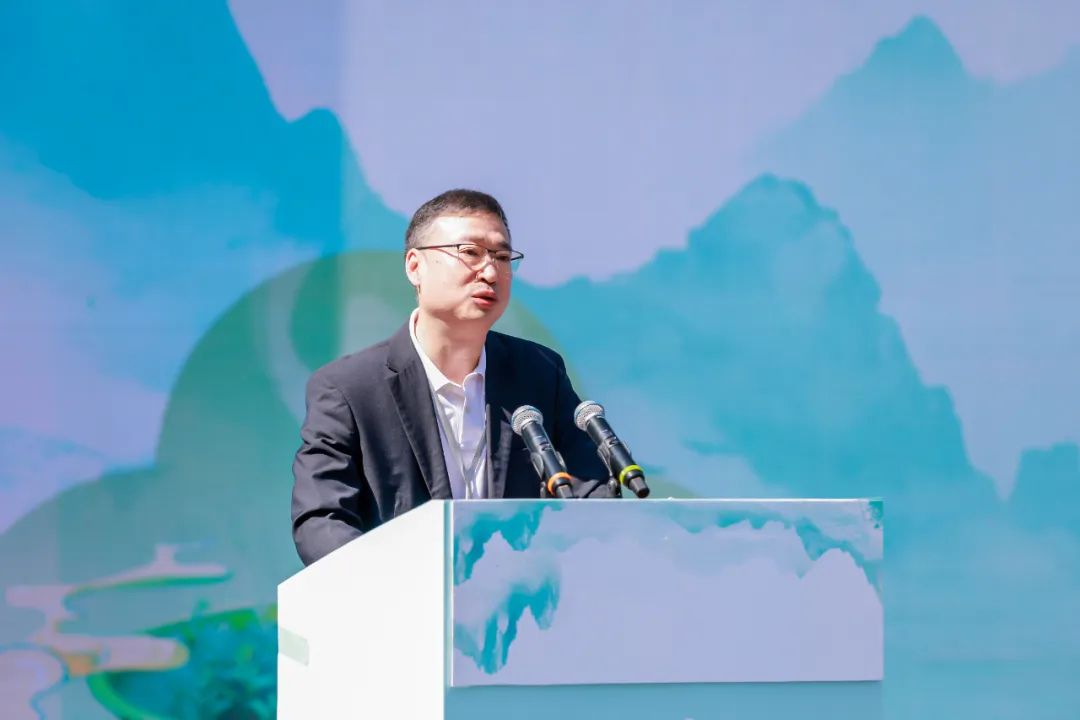 江西富硒茶恩施玉露加工(恩施玉露茶和富硒茶一样吗)-硒宝网