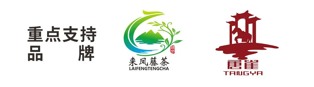 江西富硒茶恩施玉露加工(恩施玉露茶和富硒茶一样吗)-硒宝网