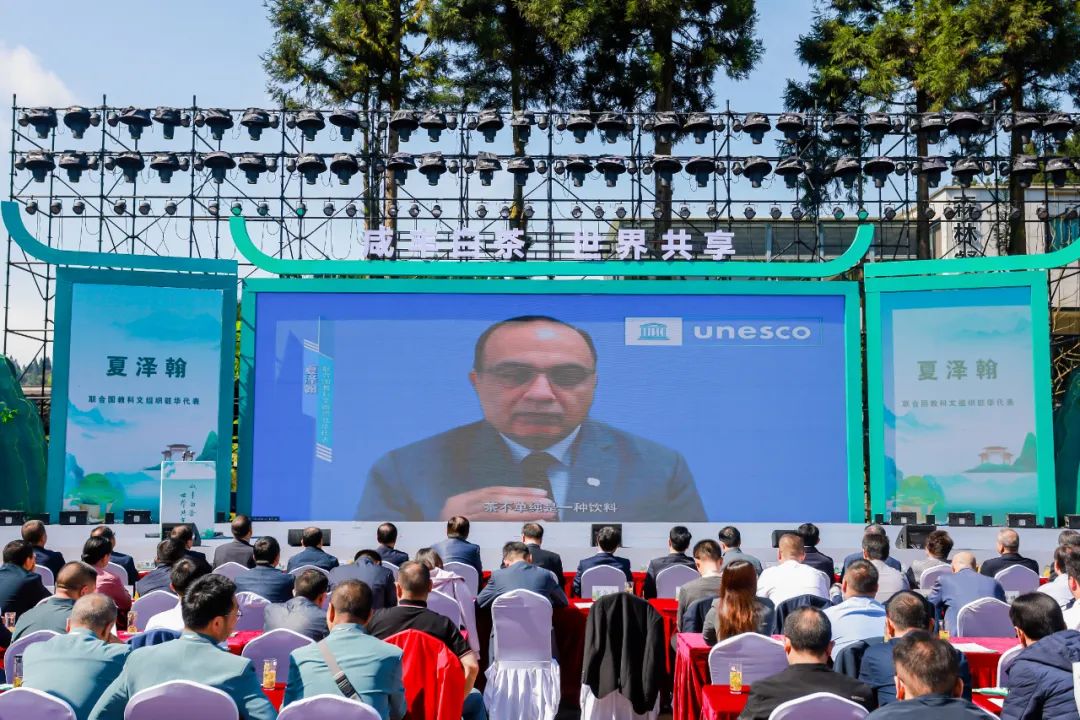 江西富硒茶恩施玉露加工(恩施玉露茶和富硒茶一样吗)-硒宝网