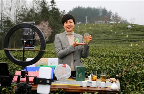 紫阳富硒茶开园直播会议(紫阳富硒茶文化)-硒宝网