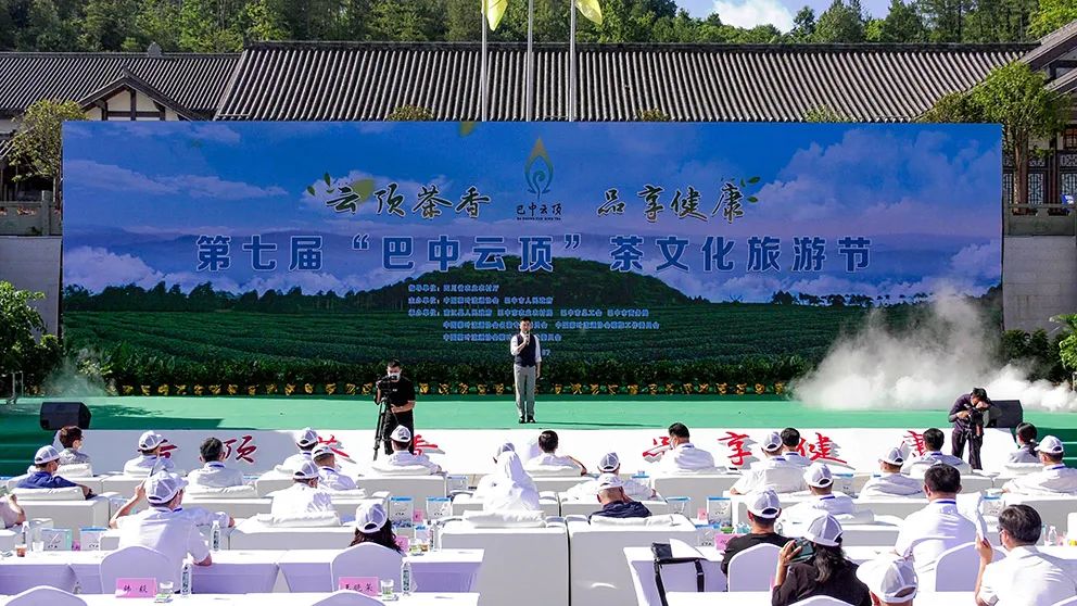 高山绿茶富硒茶如何冲泡(高山绿茶功效)-硒宝网