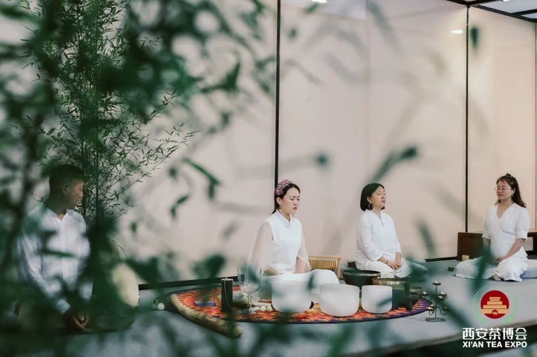 淘宝.安康富硒茶的春茶（安康茶淘宝富硒春茶是真的吗）-硒宝网