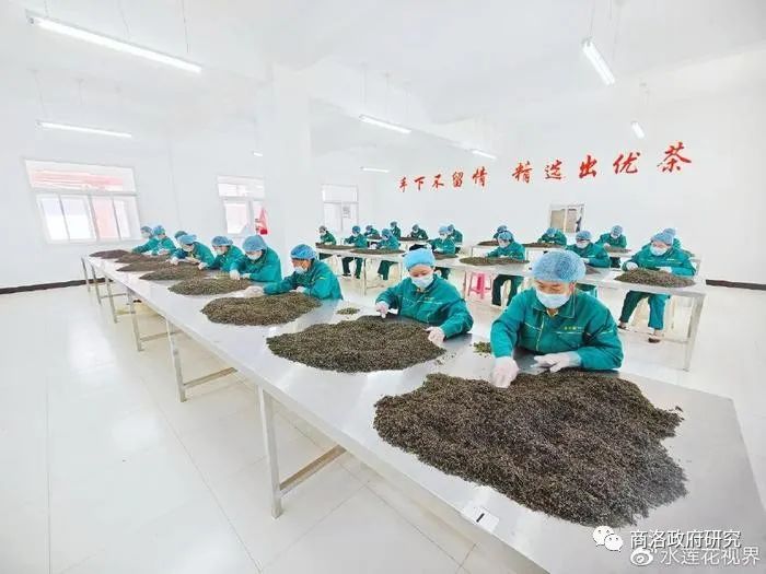 淘宝.安康富硒茶的春茶(安康茶淘宝富硒春茶是正品吗)-硒宝网