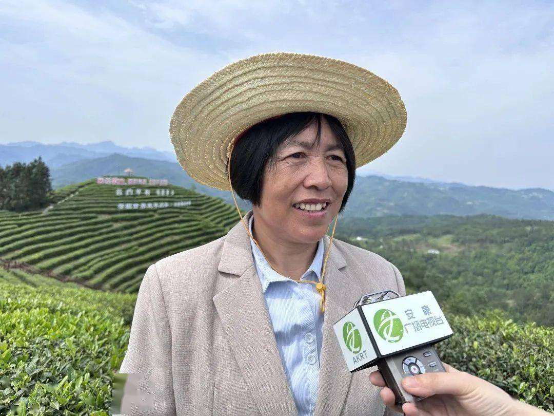 安康富硒茶产业发展意义（安康茶文化）-硒宝网