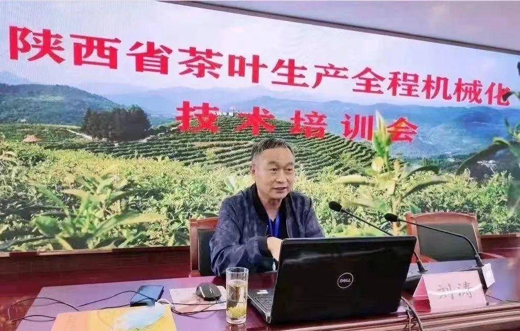 安康富硒茶产业发展意义（安康茶文化）-硒宝网