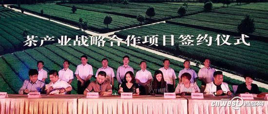 平利女娲茶富硒茶多少钱(陕西平利女娲富硒茶价格)-硒宝网