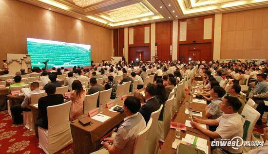 平利女娲茶富硒茶多少钱(陕西平利女娲富硒茶价格)-硒宝网