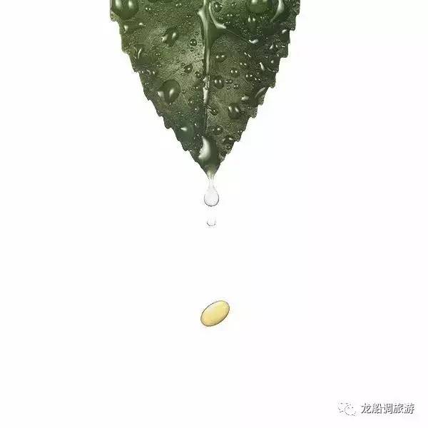 武汉富硒茶玉露怎么收费(恩施玉露富硒茶多少钱)-硒宝网