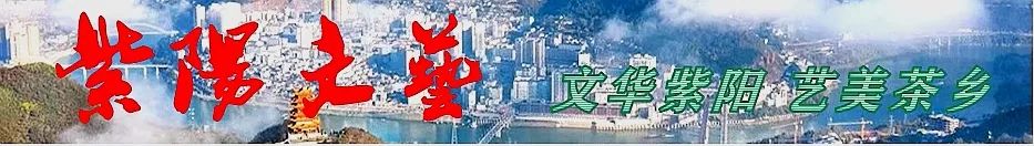 紫阳富硒茶制茶工艺流程(紫阳富硒茶制作过程)-硒宝网