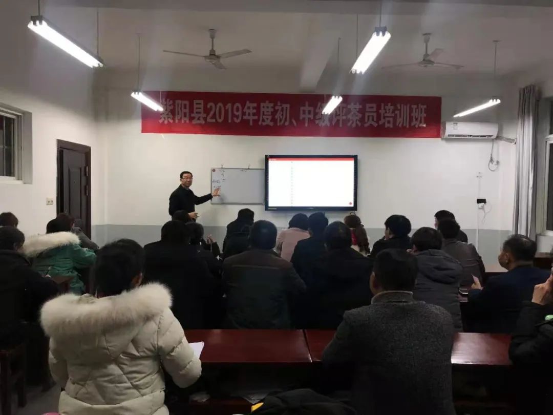 紫阳富硒茶制茶工艺流程(紫阳富硒茶制作过程)-硒宝网