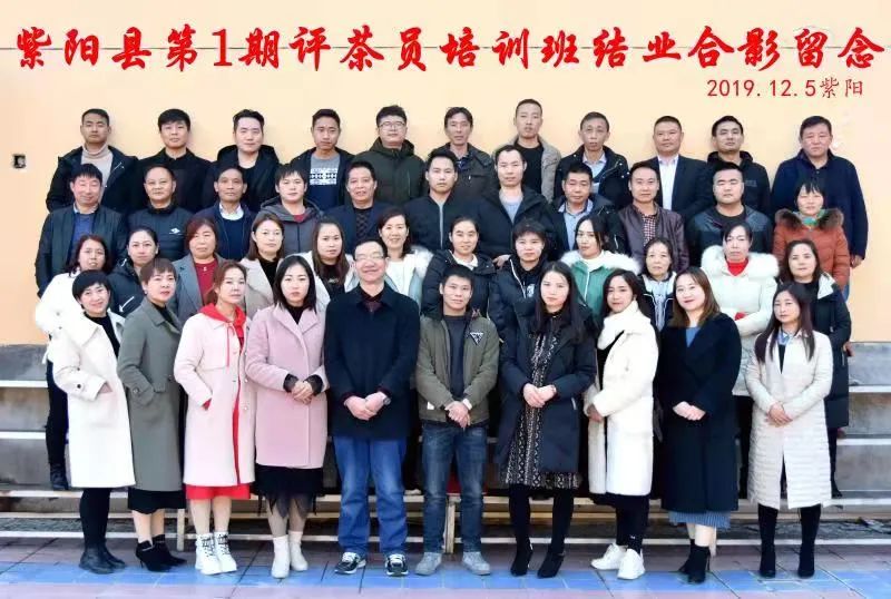 紫阳富硒茶制茶工艺流程(紫阳富硒茶制作过程)-硒宝网