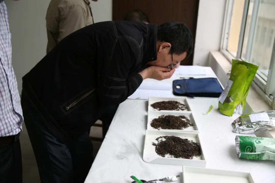 紫阳富硒茶制茶工艺流程(紫阳富硒茶制作过程)-硒宝网