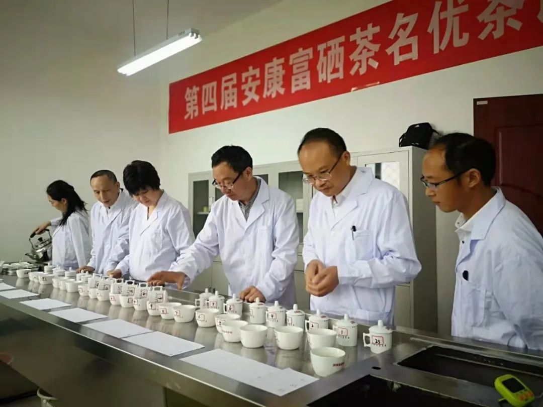 紫阳富硒茶制茶工艺流程(紫阳富硒茶制作过程)-硒宝网