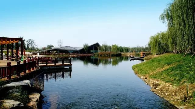 紫阳富硒茶哪个牌子最好(紫阳富硒茶品牌价值)-硒宝网