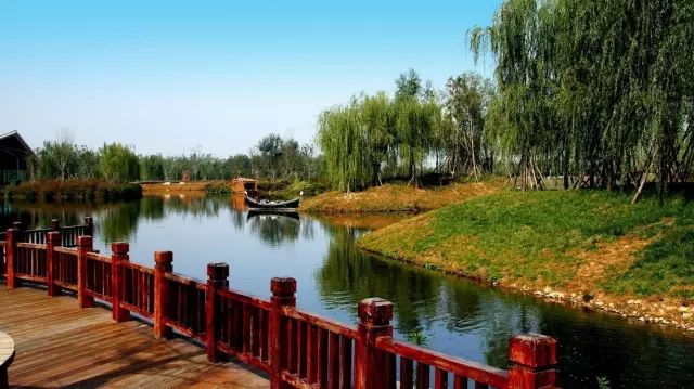 紫阳富硒茶哪个牌子最好(紫阳富硒茶品牌价值)-硒宝网