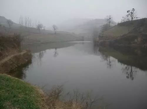 紫阳富硒茶哪个牌子最好(紫阳富硒茶品牌价值)-硒宝网