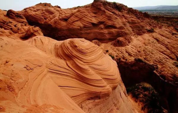 紫阳富硒茶哪个牌子最好(紫阳富硒茶品牌价值)-硒宝网