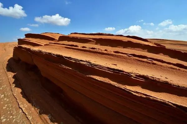 紫阳富硒茶哪个牌子最好(紫阳富硒茶品牌价值)-硒宝网
