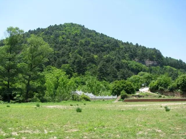 紫阳富硒茶哪个牌子最好(紫阳富硒茶品牌价值)-硒宝网