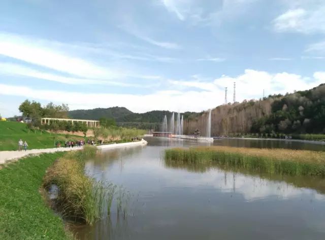 紫阳富硒茶哪个牌子最好(紫阳富硒茶品牌价值)-硒宝网