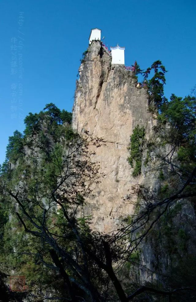 紫阳富硒茶哪个牌子最好(紫阳富硒茶品牌价值)-硒宝网
