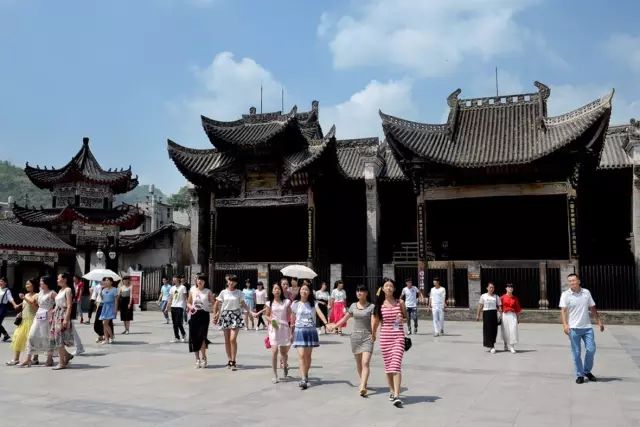 紫阳富硒茶哪个牌子最好(紫阳富硒茶品牌价值)-硒宝网