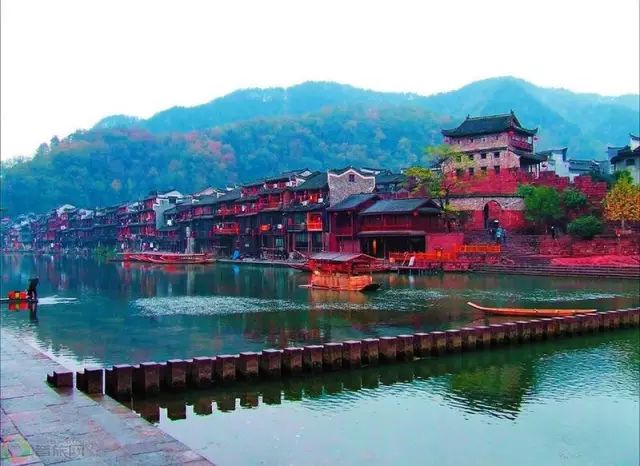 紫阳富硒茶哪个牌子最好(紫阳富硒茶品牌价值)-硒宝网