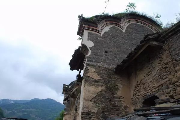 紫阳富硒茶哪个牌子最好(紫阳富硒茶品牌价值)-硒宝网