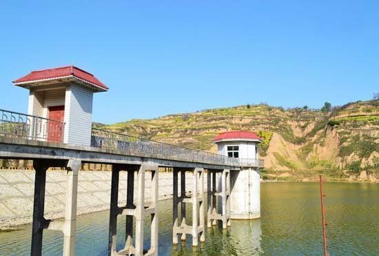 紫阳富硒茶哪个牌子最好(紫阳富硒茶品牌价值)-硒宝网