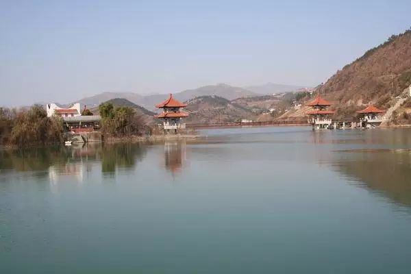 紫阳富硒茶哪个牌子最好(紫阳富硒茶品牌价值)-硒宝网