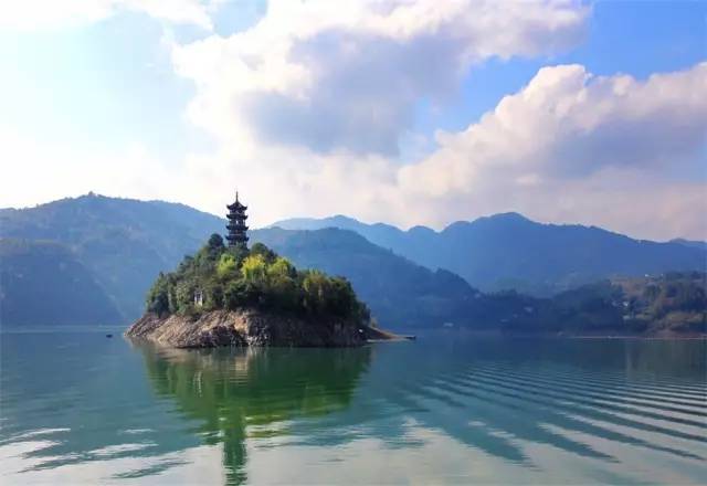 紫阳富硒茶哪个牌子最好(紫阳富硒茶品牌价值)-硒宝网